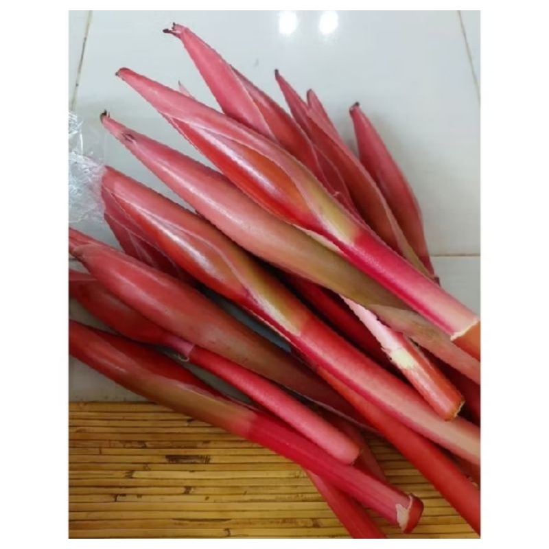 

Bunga kecombrang hasil BUMI BLAMBANGAN segar 250gr