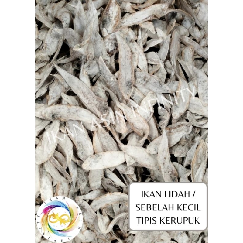 

Ikan Asin Ikan Lidah / Sebelah Kecil Tipis Kerupuk (250 Gram)