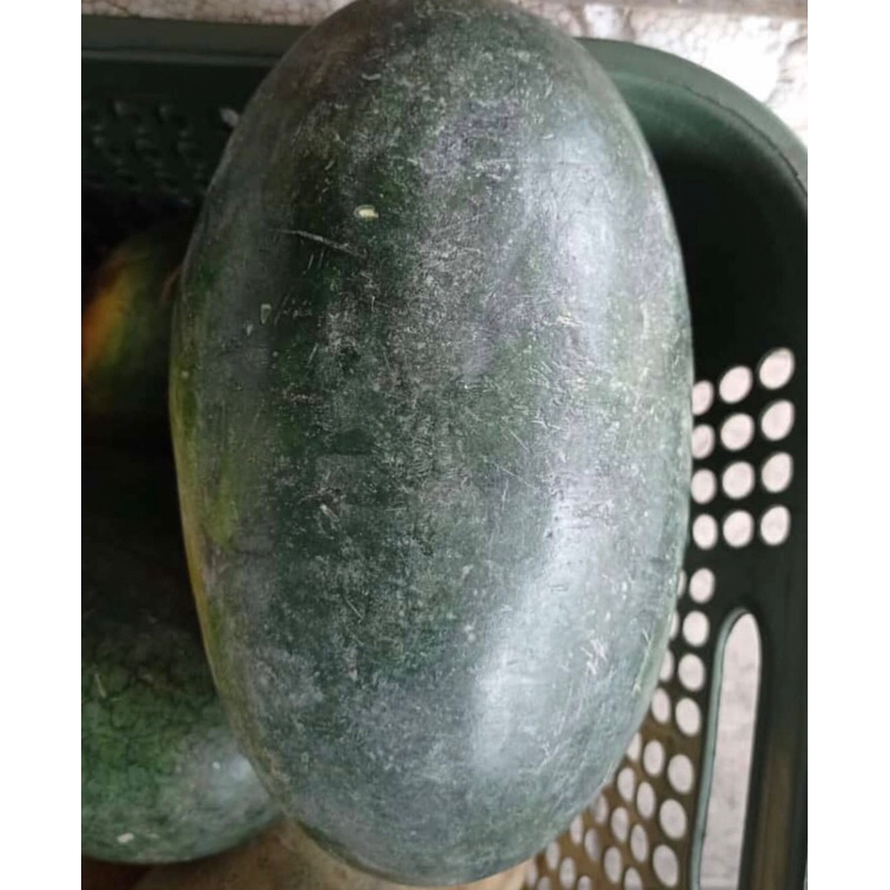 

Semangka