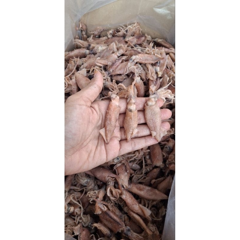 

baby cumi asin super ,kenyal ,semi kering 1kg