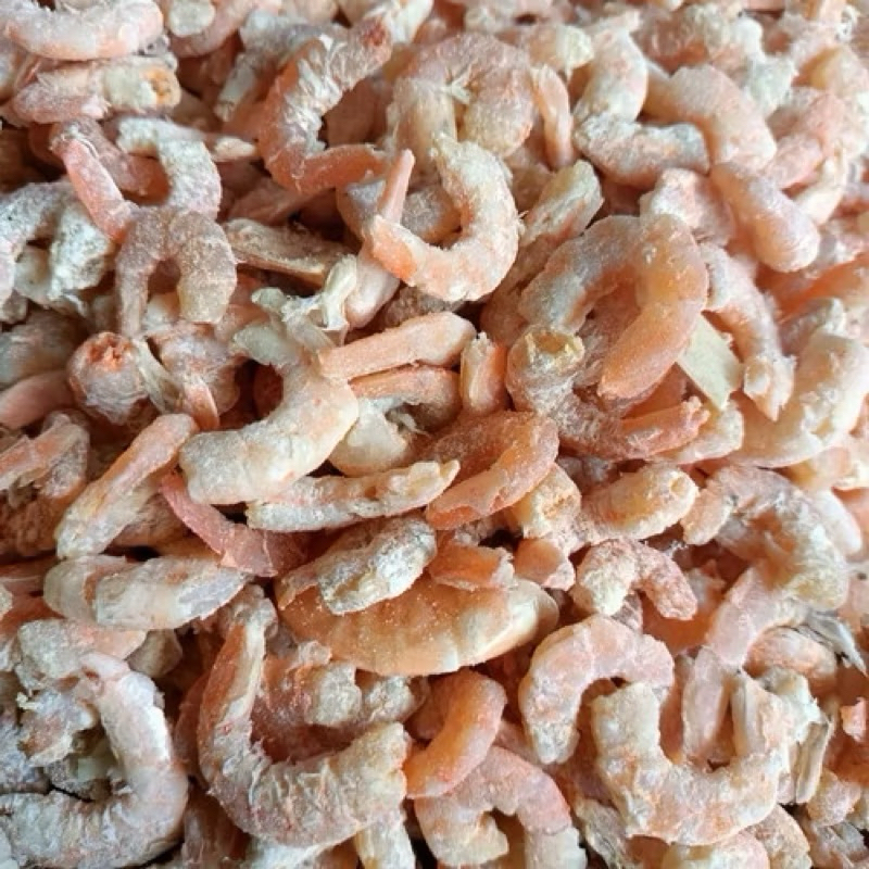 

UDANG EBI ASLI / UDANG KERING KUALITAS PREMIUM / UDANG EBI KUPAS FULL DAGING
