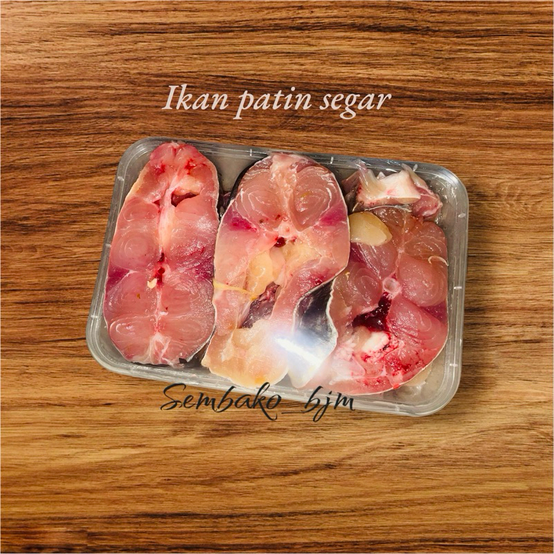 

ikan patin segar