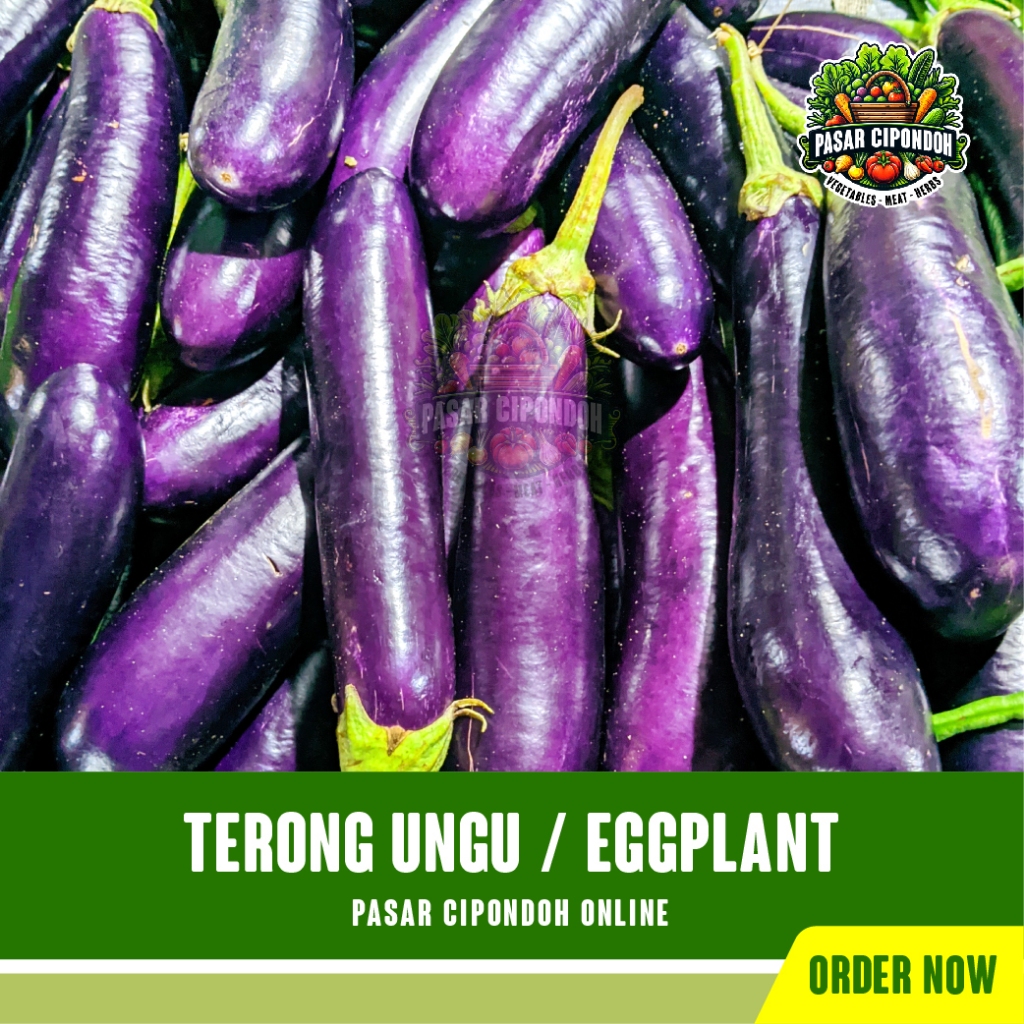 

Terong Ungu Solanum Melongena Segar 500 gram / Eggplant - Pasar Cipondoh Tangerang