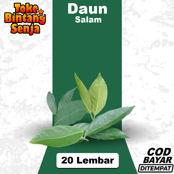 

Daun Salam 20 Lembar Segar Mudah Kering Obat Herbal Rempah Masakan