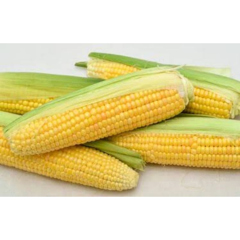 

Jagung Manis tanpa kulit