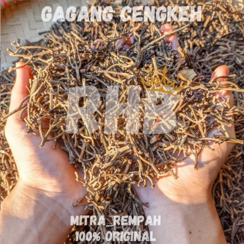 

GAGANG CENGKEH 100GR ALAMI ORIGINAL KERING