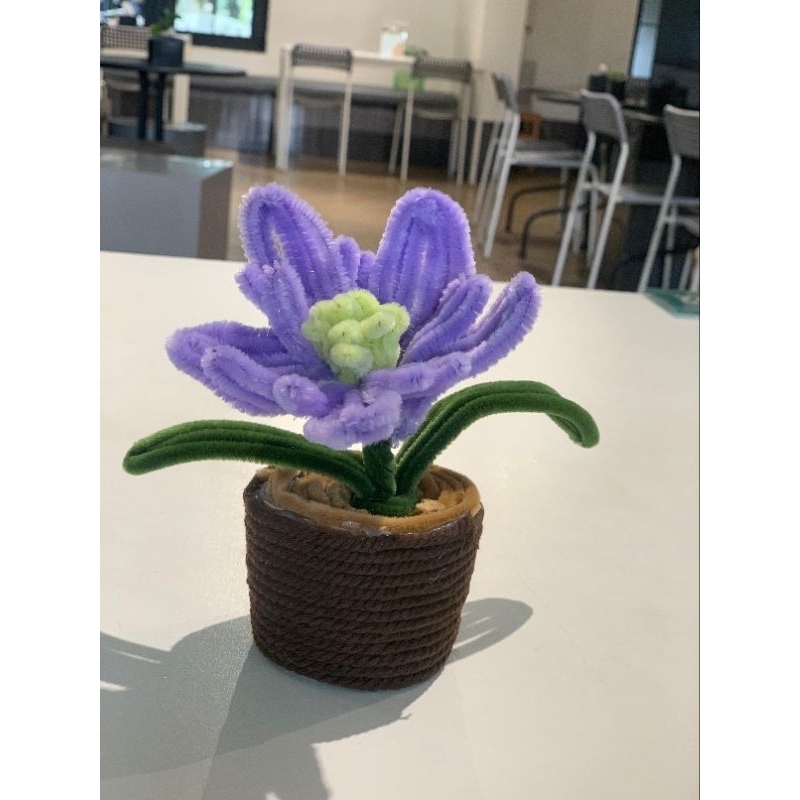 Mini Pot Flower Lucu