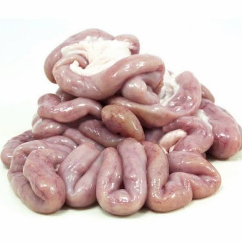 

Usus Sapi FRESH 500g 100% HALAL