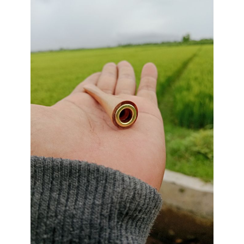 Once pipa cangklong kayu cendana mini