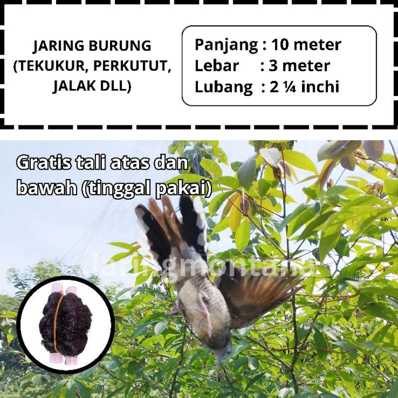 JARING BURUNG TERKUKUR JARING BURUNG TEKUKUR SIAP PAKAI JARING TEKUKUR JARING BURUNG TERMURAH