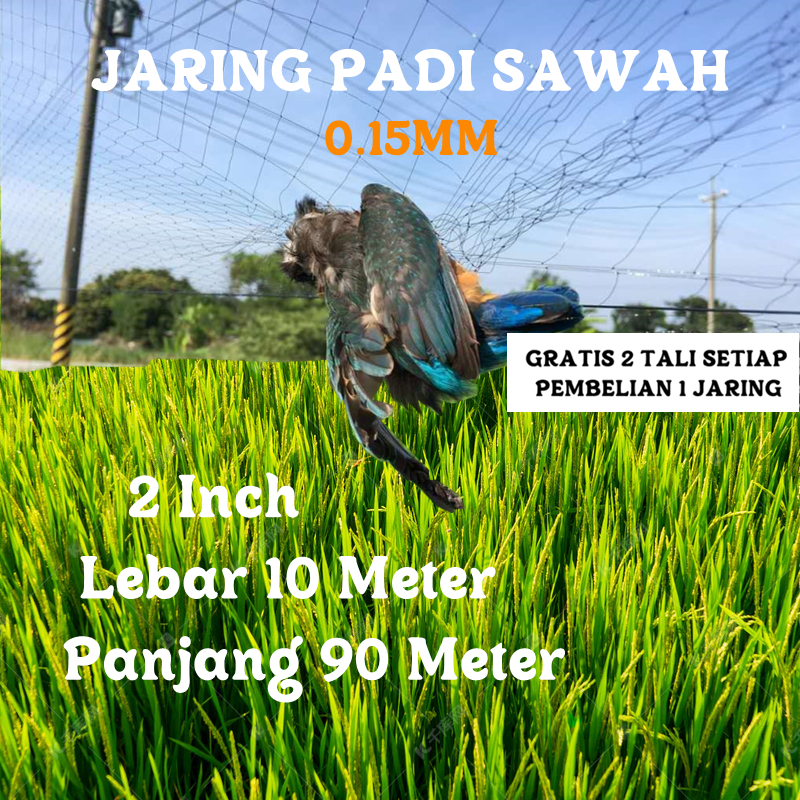 JARING BURUNG SAWAH JARING BURUNG KECIL JARING  BURUNG PIPIT BURUNG EMPRIT 0.15 10X90M(200X100)