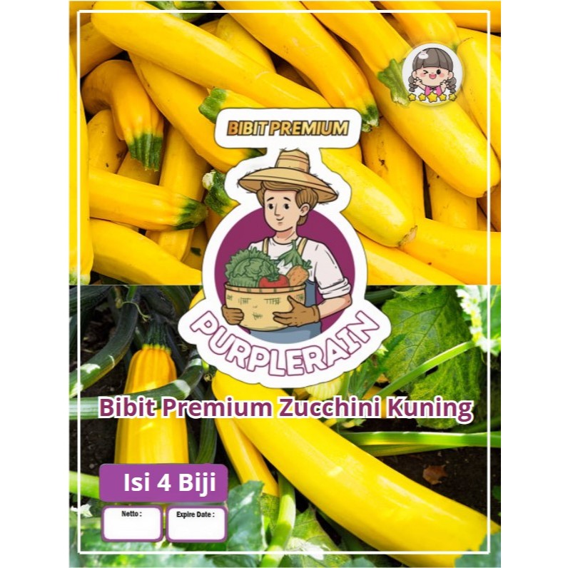 Bibit Premium Zucchini Kuning | Benih Zucchini Kuning