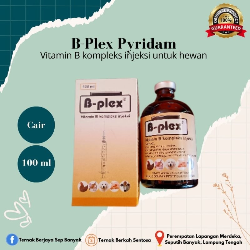 Vitamin B-pleks Pyridam 100ml untuk ternak (b complex + b12)