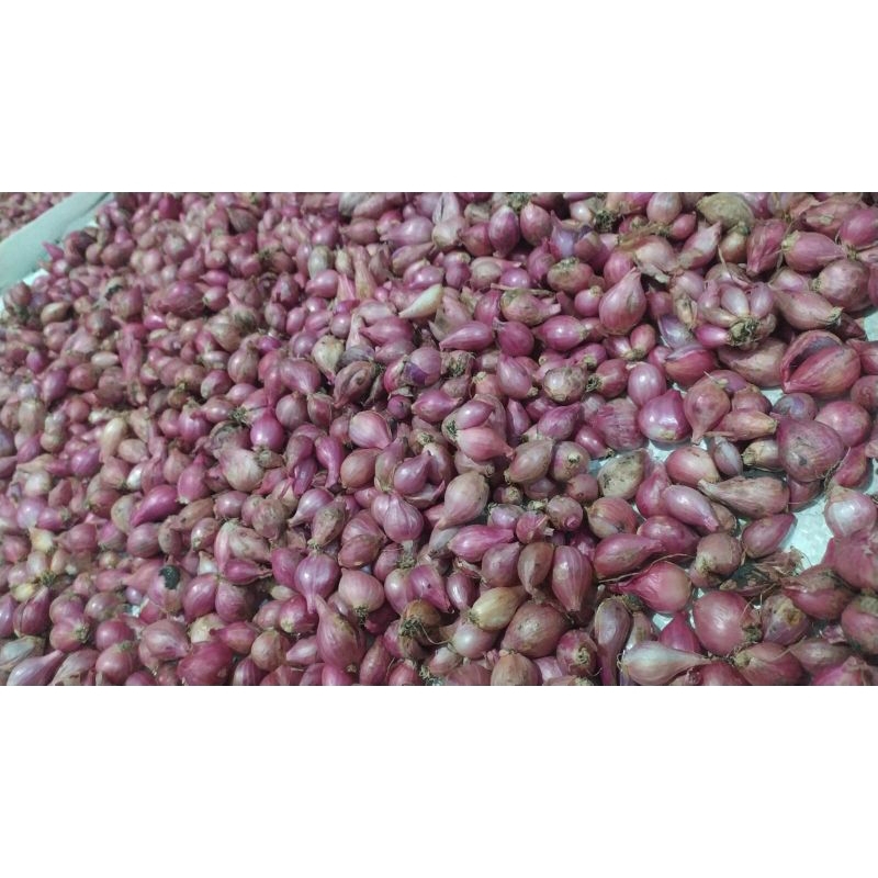 

bawang merah SEDANG Terbaik 500 gram || 1kg Nganjuk