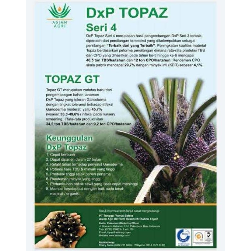 BIBIT BENIH SAWIT TOPAZ IRG