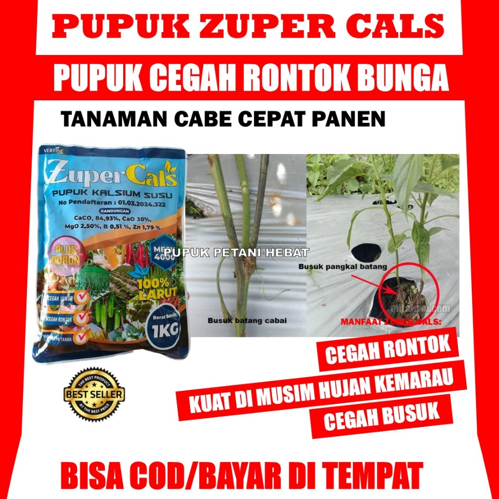 Obat Busuk Batang Cabe Terbaik ZUPERCALS 1 KG Obat Semprot Mencegah Busuk Akar, Busuk Buah, Busuk Ba