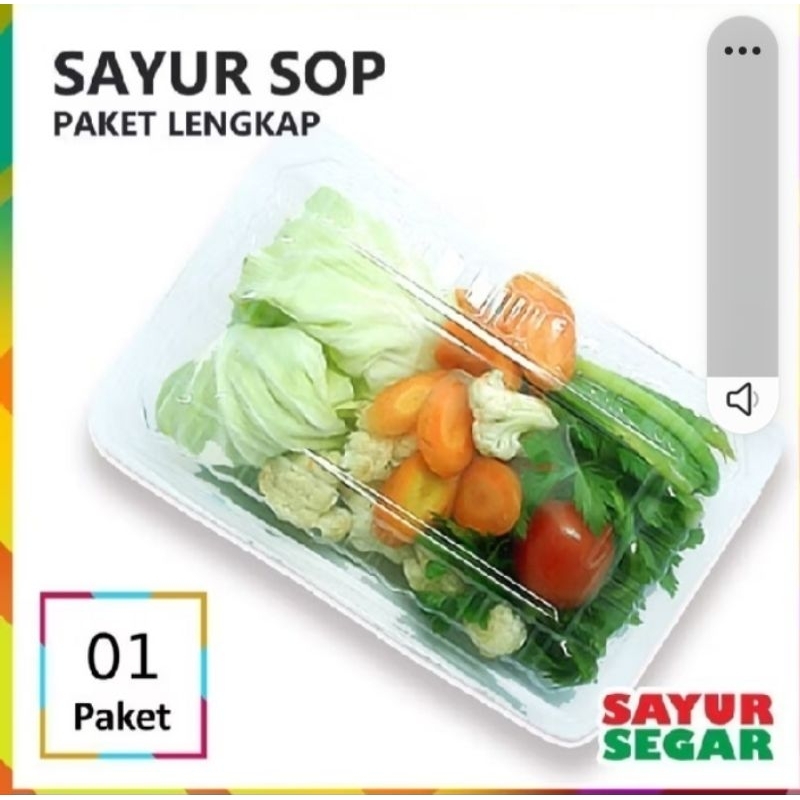 

sayur sop