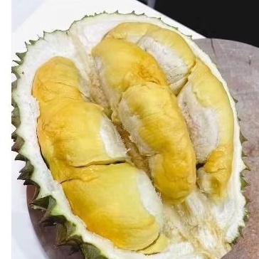 

Buah durian bawor super premium jumbo -+2,5 kg
