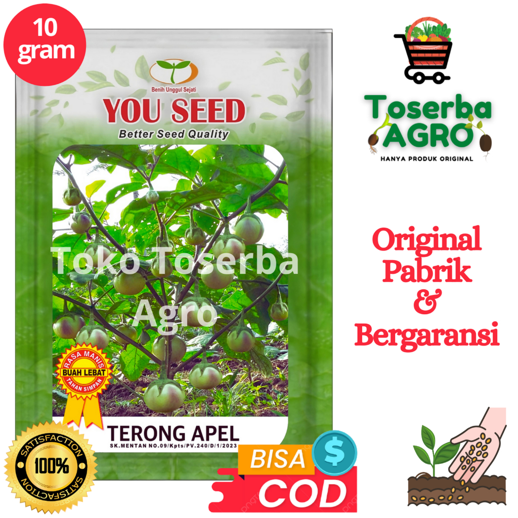 Benih Bibit Terong Lalap TERONG APEL 10g Youseed Benih Terong Manggis