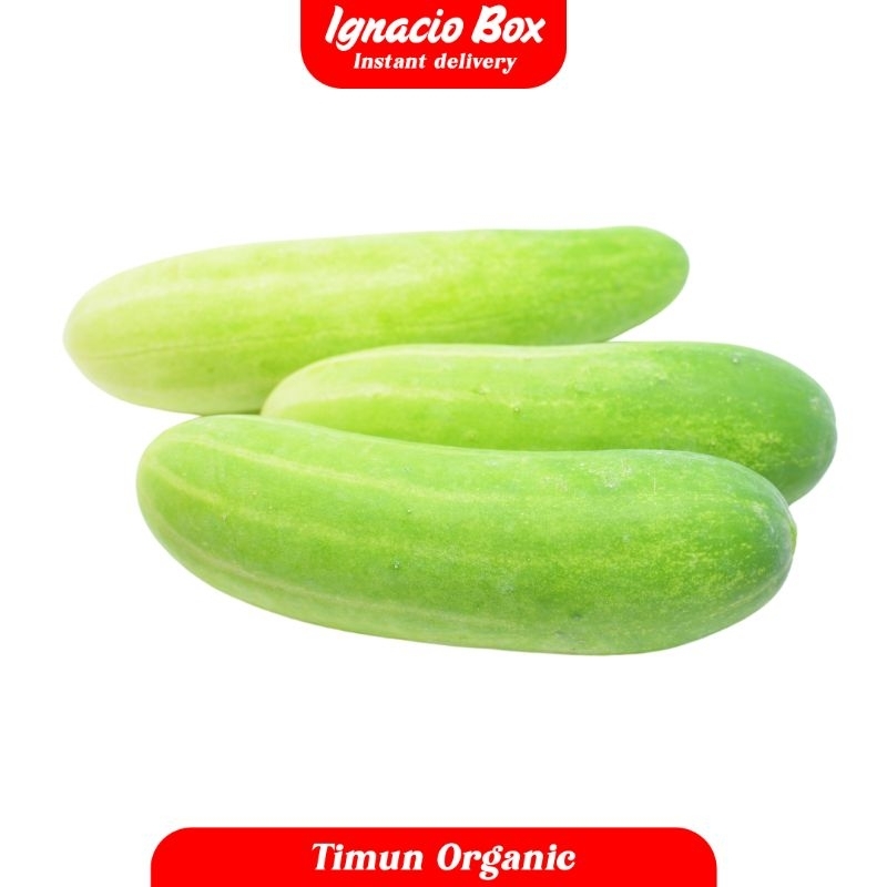 

Mentimun [ ±500GR ] Organic Segar Kebun IgnacioBox