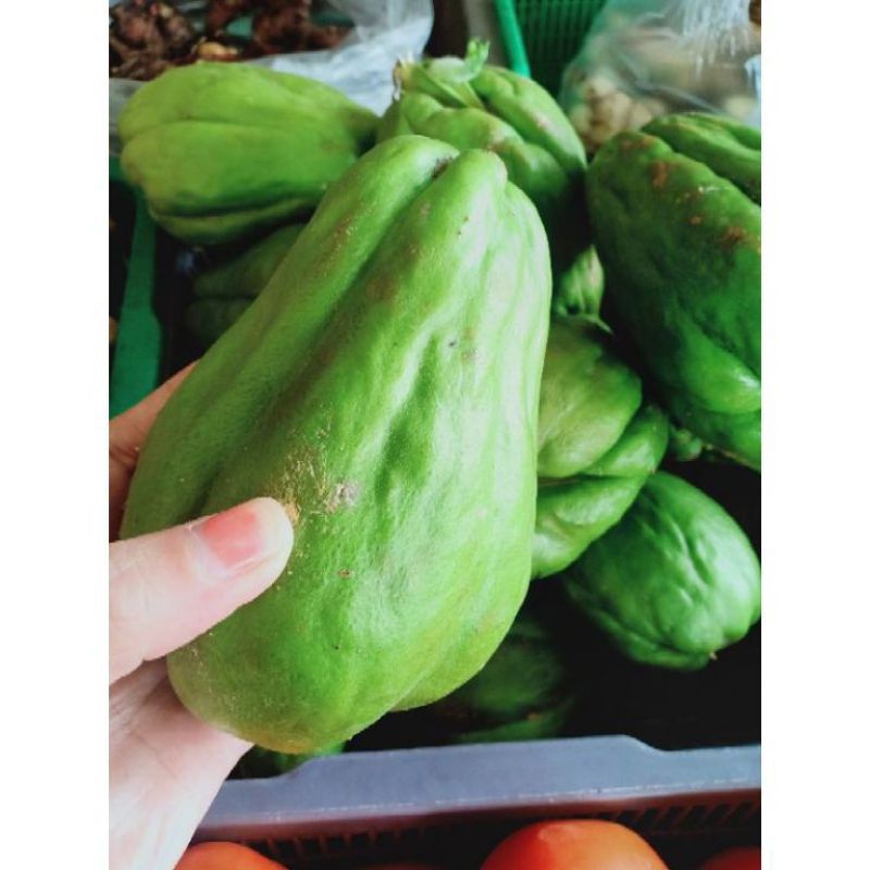 

labu Siam Fress murahh 500grm