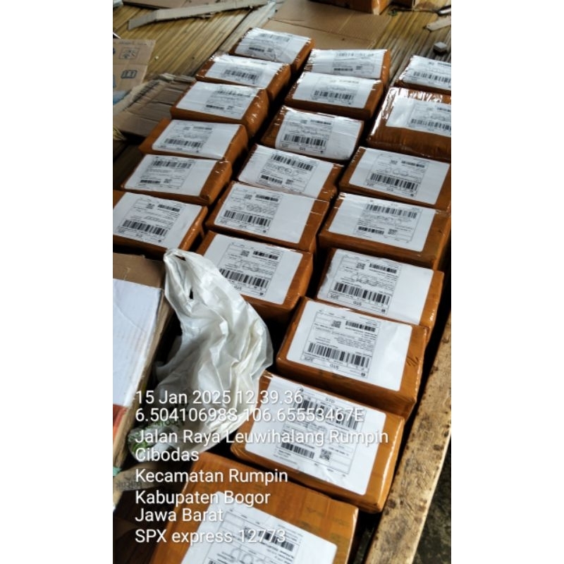 Kucur Mania Super Gacor Sakti Umpan Pancing Baung 1000 gr 1 kg