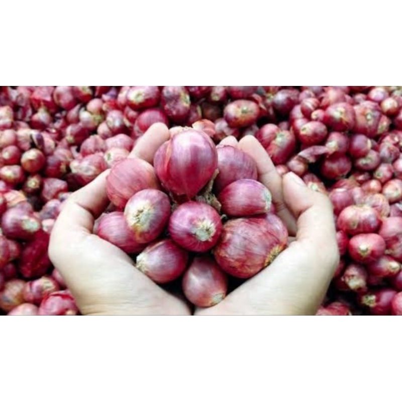 

Bawang merah Sedang 500 gram