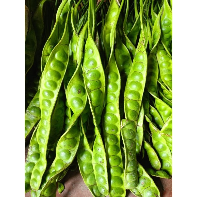 

Pete segar harga perpapan