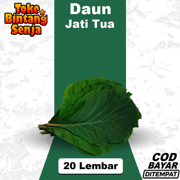 

Daun Jati Tua Per 20 Lembar Size Sedang-Besar Untuk Bungkus Nasi Jamblang Berat Bisa Mencapai 250 gr 500 Gram - Kg (Tergantung Ukuran)