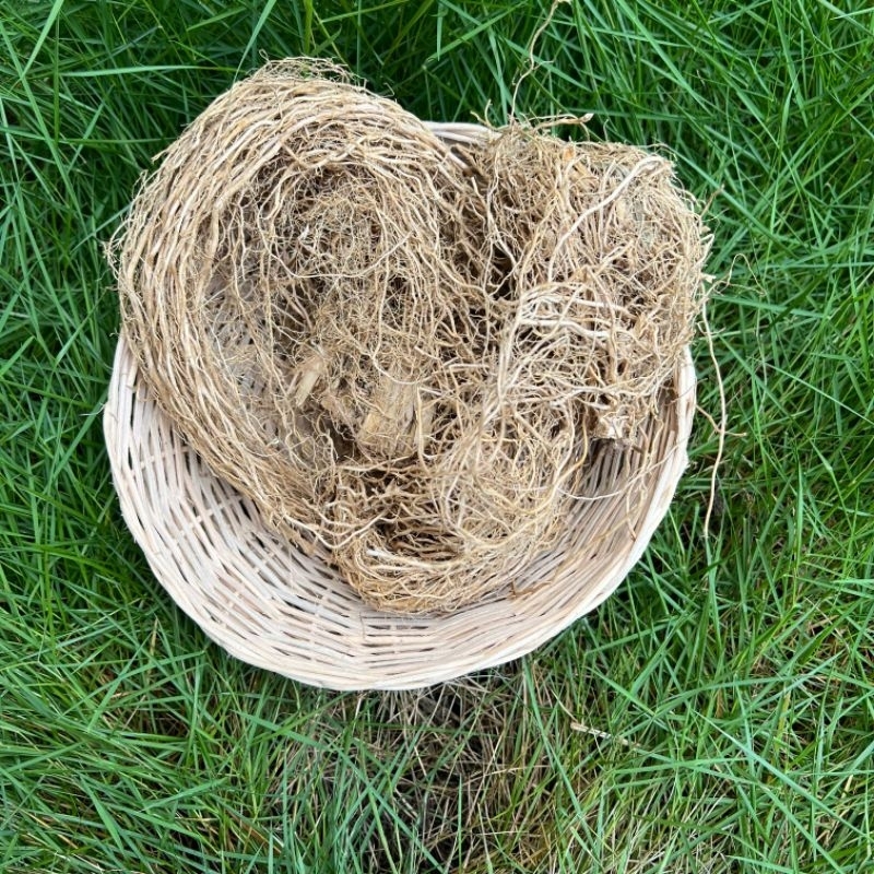 50gr Akar Wangi tanpa Bonggol 25gr Akar Wangi PREMIUM Akar Wangi Kering Akar wangi Dekorasi Pengharu