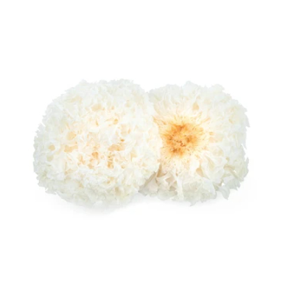 

jamur salju putih es snow white yin er bai mu er bokjie kering 100 gr