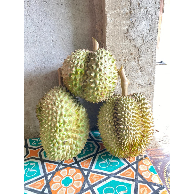 

durian enak legit