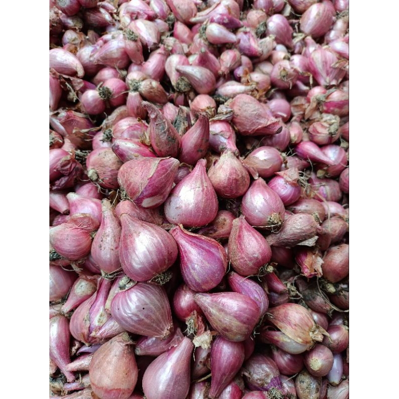 

Bawang merah kering asli NGANJUK murah. Ukuran 1Kg tanggung campur