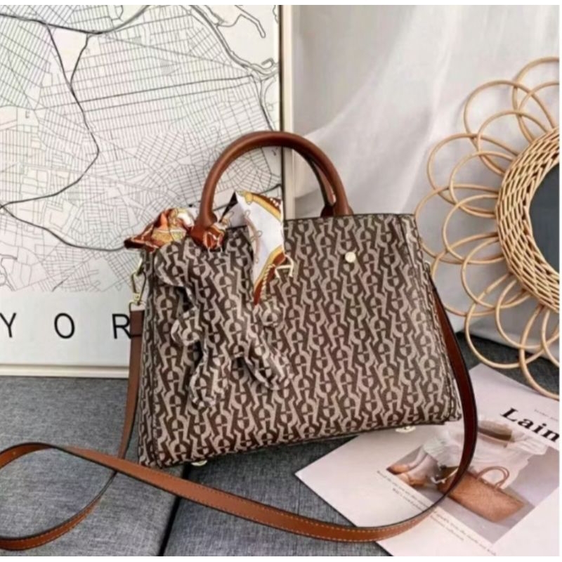 Tas import Aigner Mountegne