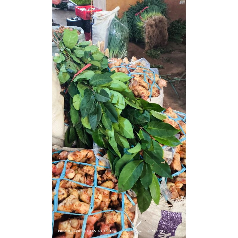 

Daun Salam 500gr