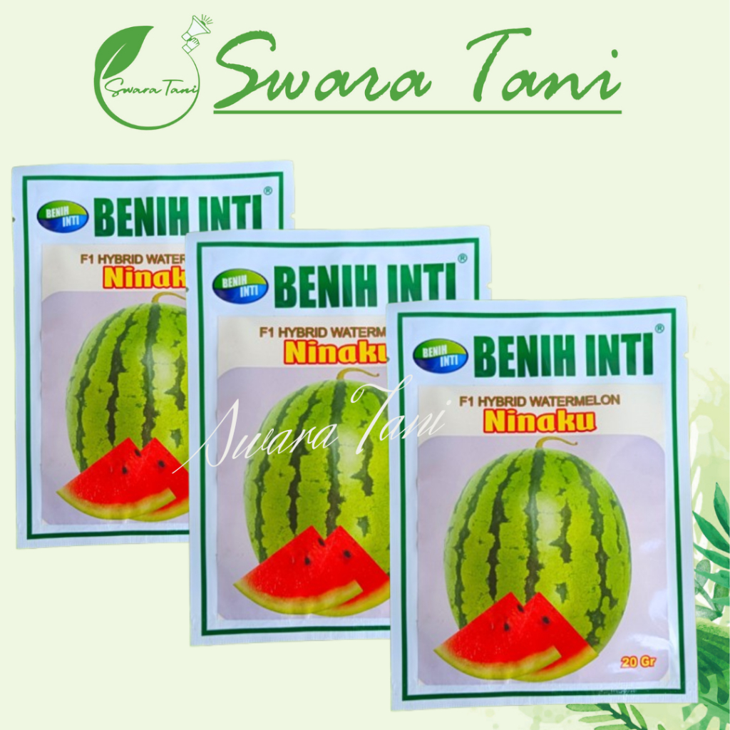 Benih Semangka Lorek NINAKU Merah Berbiji Original 20 Gram