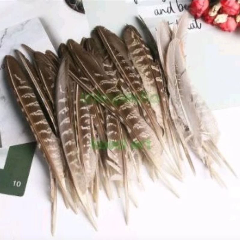 Bulu hias ayam pheasant/ hiasan bulu/ bahan DIY feather prakarya cotume