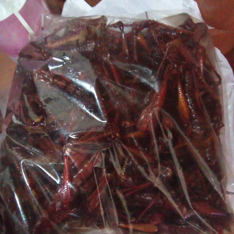

walang kayu