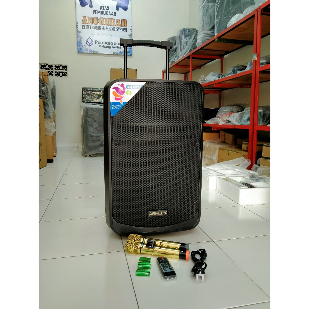 SPEAKER PORTABLE ASHLEY 15" IR600 / IR 600