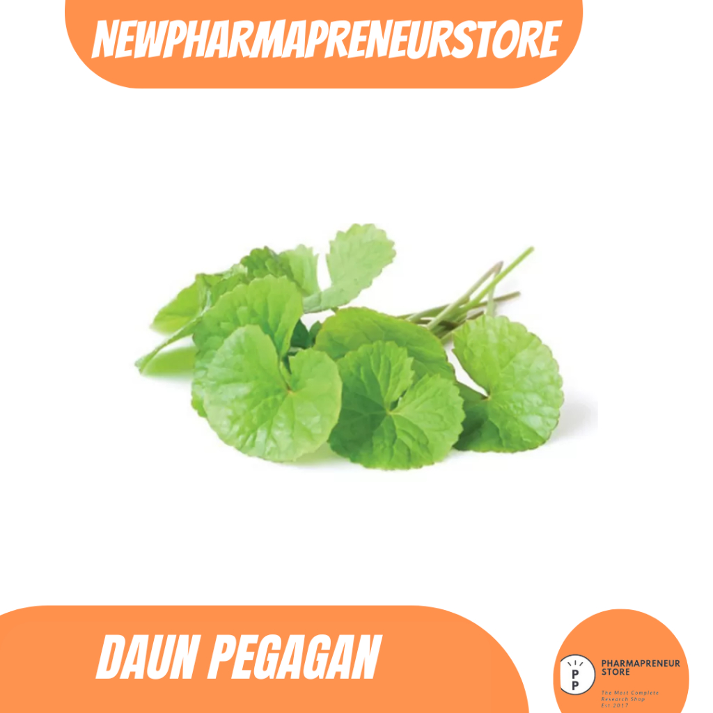 

DRIED SERBUK DAUN PEGAGAN BEST QUALITY