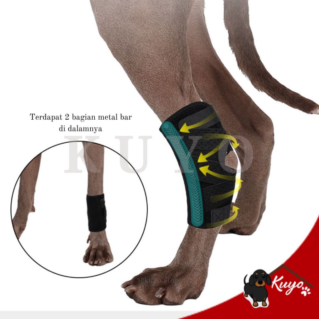 Sellyliavitaliavita Dog Knee Brace Bandage Leg Straps Post Surgery Support Recovery - Pelindung Tali