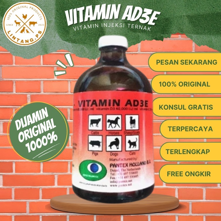 Vitamin AD3E 50 ml - Vitamin AD3E Untuk Ayam - Pantex Ad3e Hewan