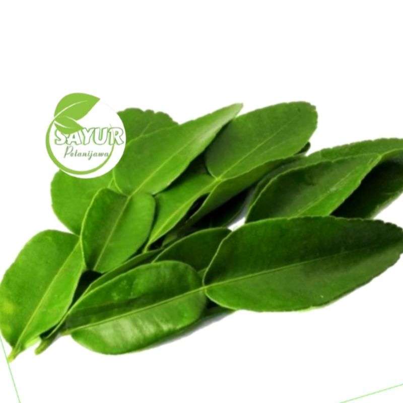 

Daun Jeruk Segar | Daun jeruk 1 pac