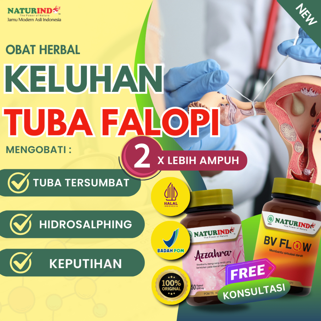 Obat Tuba Falopi Tersumbat Penyumbatan Saluran Tuba Fallopi Hidrosalping Naturindofit
