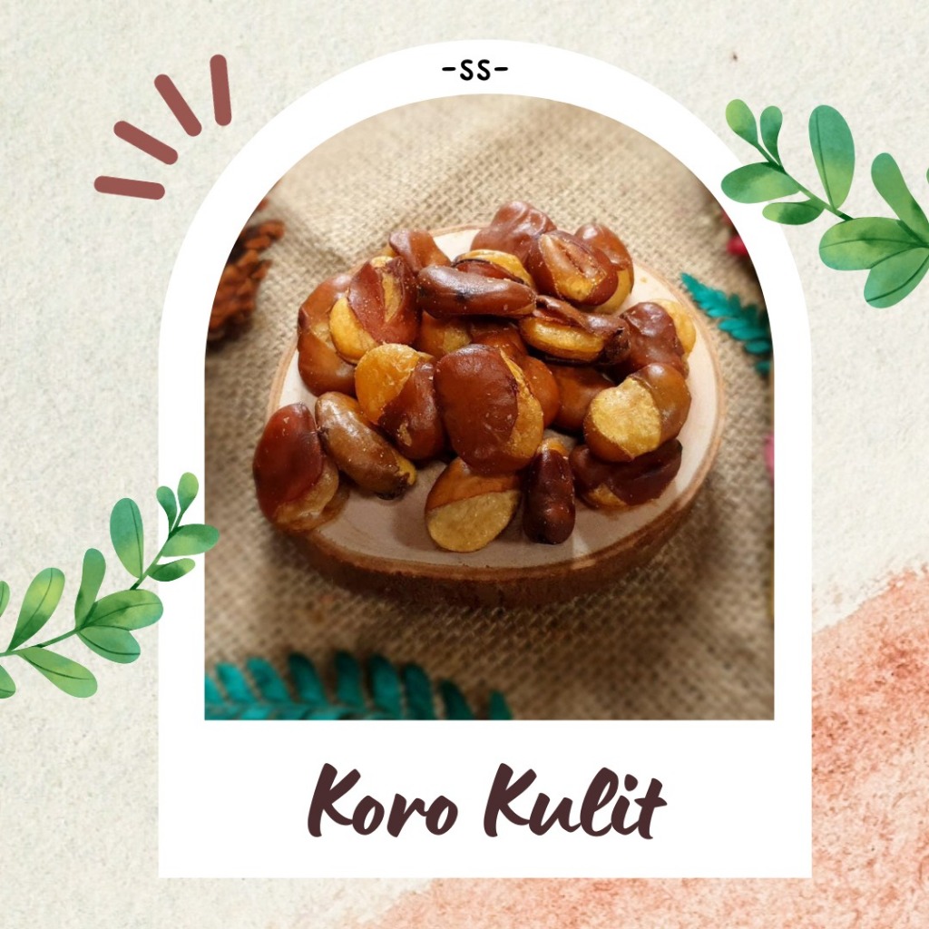 

KACANG KORO KULIT