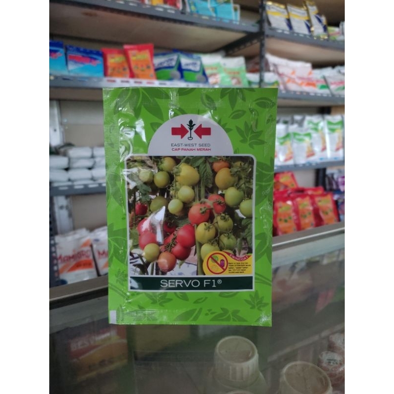 Benih bibit Tomat servo F1 cap panah merah