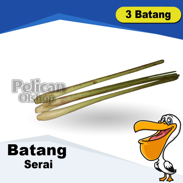 

Batang Serai 3 Pcs Obat Herbal Rempah Bumbu Masak Diare Radang Antibakteri Mual Bahan Wedang