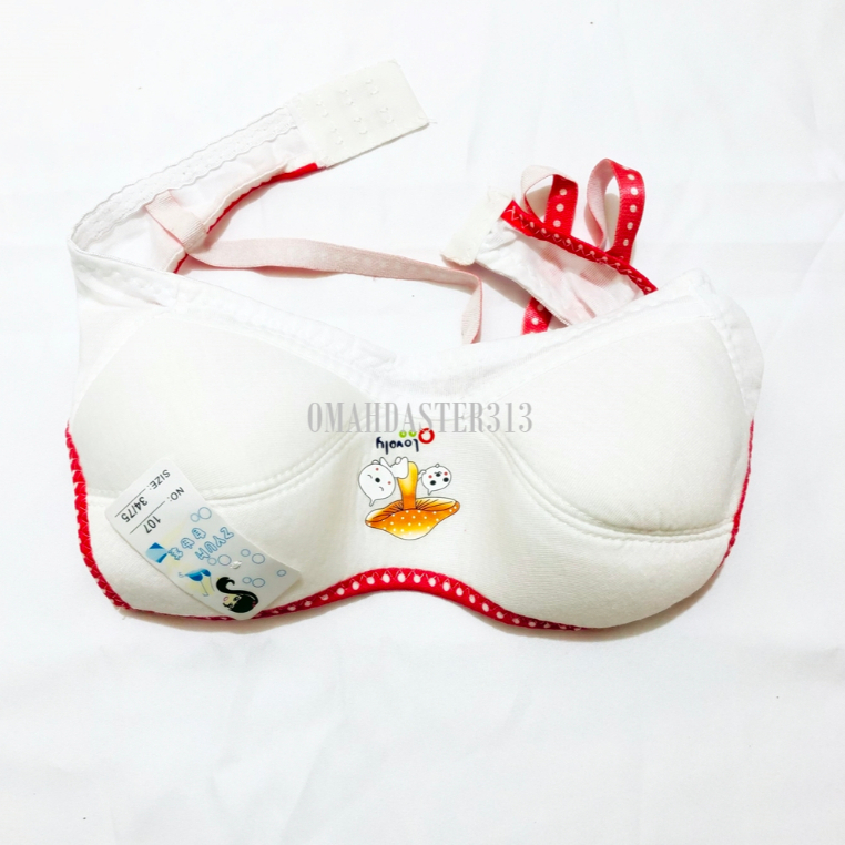 BRA Pelajar SMP SMA DLL / BH Pelajar BUSA Tipis