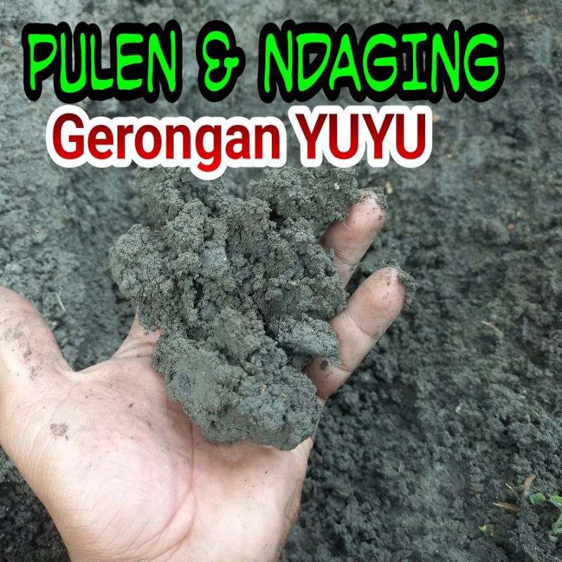 

Tanah Lempung Hitam 1 Kg Penghilang Rasa Pahit Daun Pepaya Paling Murah 100% asli
