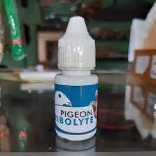 OBAT MENAMBAH STAMINA MERPATI JADI JUARA RIBOLYTE VETAFARM ORIGIONAL